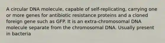 A circular DNA molecule, capable of self-replicating, carrying one or more genes for antibiotic resistance proteins and a cloned foreign gene such as GFP. It is an extra-chromosomal DNA molecule separate from the chromosomal DNA. Usually present in bacteria