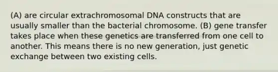 (A) are circular extrachromosomal DNA constructs that are usually smaller than the bacterial chromosome. (B) gene transfer takes place when these genetics are transferred from one cell to another. This means there is no new generation, just genetic exchange between two existing cells.