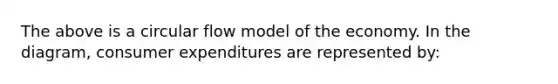 The above is a circular flow model of the economy. In the diagram, consumer expenditures are represented by: