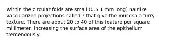 Within the circular folds are small (0.5-1 mm long) hairlike vascularized projections called ? that give the mucosa a furry texture. There are about 20 to 40 of this feature per square millimeter, increasing the <a href='https://www.questionai.com/knowledge/kEtsSAPENL-surface-area' class='anchor-knowledge'>surface area</a> of the epithelium tremendously.