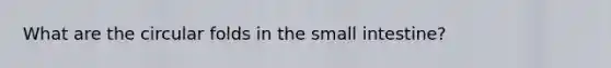 What are the circular folds in the small intestine?