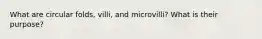 What are circular folds, villi, and microvilli? What is their purpose?