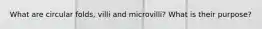 What are circular folds, villi and microvilli? What is their purpose?
