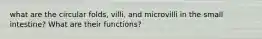 what are the circular folds, villi, and microvilli in the small intestine? What are their functions?