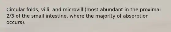 Circular folds, villi, and microvilli(most abundant in the proximal 2/3 of the small intestine, where the majority of absorption occurs).