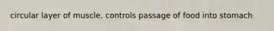 circular layer of muscle, controls passage of food into stomach
