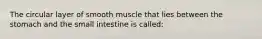 The circular layer of smooth muscle that lies between the stomach and the small intestine is called: