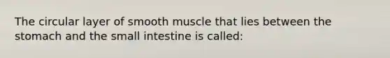 The circular layer of smooth muscle that lies between the stomach and the small intestine is called: