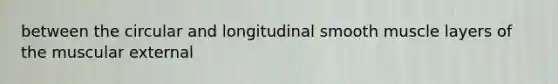 between the circular and longitudinal smooth muscle layers of the muscular external