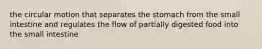 the circular motion that separates the stomach from the small intestine and regulates the flow of partially digested food into the small intestine