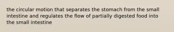 the circular motion that separates <a href='https://www.questionai.com/knowledge/kLccSGjkt8-the-stomach' class='anchor-knowledge'>the stomach</a> from <a href='https://www.questionai.com/knowledge/kt623fh5xn-the-small-intestine' class='anchor-knowledge'>the small intestine</a> and regulates the flow of partially digested food into the small intestine