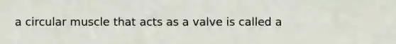 a circular muscle that acts as a valve is called a