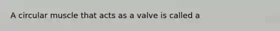 A circular muscle that acts as a valve is called a