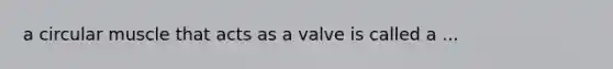 a circular muscle that acts as a valve is called a ...