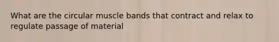 What are the circular muscle bands that contract and relax to regulate passage of material