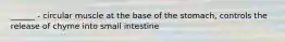 ______ - circular muscle at the base of the stomach, controls the release of chyme into small intestine