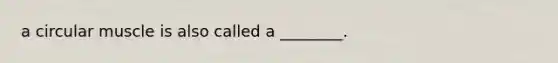 a circular muscle is also called a ________.