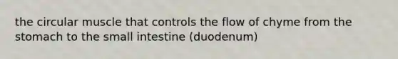 the circular muscle that controls the flow of chyme from the stomach to the small intestine (duodenum)