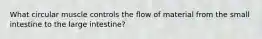 What circular muscle controls the flow of material from the small intestine to the large intestine?