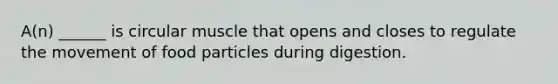 A(n) ______ is circular muscle that opens and closes to regulate the movement of food particles during digestion.