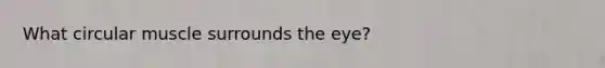 What circular muscle surrounds the eye?