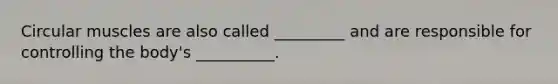 Circular muscles are also called _________ and are responsible for controlling the body's __________.