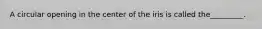 A circular opening in the center of the iris is called the_________.