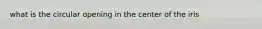 what is the circular opening in the center of the iris