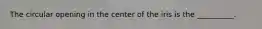 The circular opening in the center of the iris is the __________.