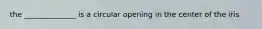 the ______________ is a circular opening in the center of the iris