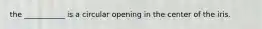 the ___________ is a circular opening in the center of the iris.