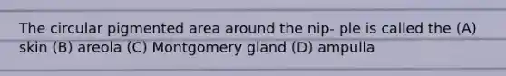 The circular pigmented area around the nip- ple is called the (A) skin (B) areola (C) Montgomery gland (D) ampulla