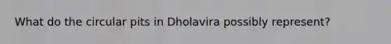 What do the circular pits in Dholavira possibly represent?