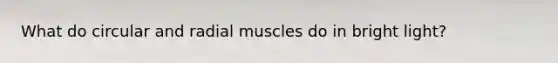 What do circular and radial muscles do in bright light?