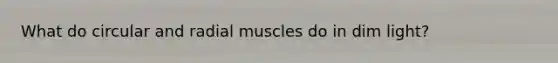 What do circular and radial muscles do in dim light?