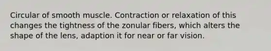 Circular of smooth muscle. Contraction or relaxation of this changes the tightness of the zonular fibers, which alters the shape of the lens, adaption it for near or far vision.