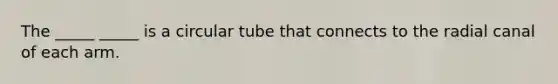 The _____ _____ is a circular tube that connects to the radial canal of each arm.