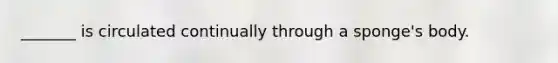 _______ is circulated continually through a sponge's body.