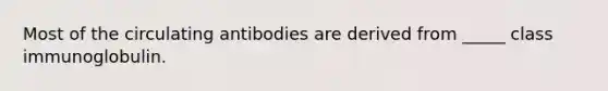 Most of the circulating antibodies are derived from _____ class immunoglobulin.