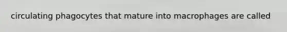 circulating phagocytes that mature into macrophages are called