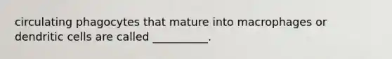 circulating phagocytes that mature into macrophages or dendritic cells are called __________.