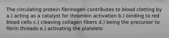 The circulating protein fibrinogen contributes to blood clotting by a.) acting as a catalyst for thrombin activation b.) binding to red blood cells c.) cleaving collagen fibers d.) being the precursor to fibrin threads e.) activating the platelets