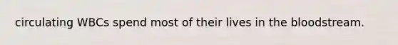 circulating WBCs spend most of their lives in the bloodstream.