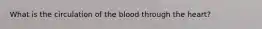 What is the circulation of the blood through the heart?