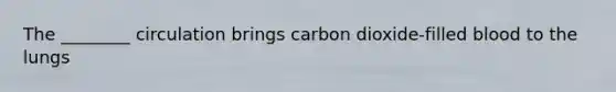 The ________ circulation brings carbon dioxide-filled blood to the lungs