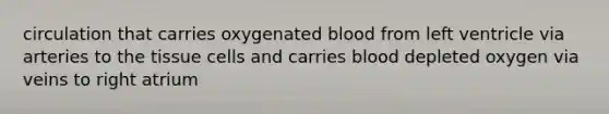 circulation that carries oxygenated blood from left ventricle via arteries to the tissue cells and carries blood depleted oxygen via veins to right atrium