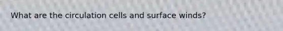 What are the circulation cells and surface winds?