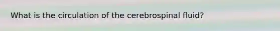 What is the circulation of the cerebrospinal fluid?