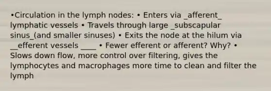 •Circulation in the lymph nodes: • Enters via _afferent_ lymphatic vessels • Travels through large _subscapular sinus_(and smaller sinuses) • Exits the node at the hilum via __efferent vessels ____ • Fewer efferent or afferent? Why? • Slows down flow, more control over filtering, gives the lymphocytes and macrophages more time to clean and filter the lymph