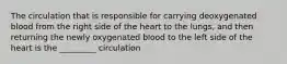 The circulation that is responsible for carrying deoxygenated blood from the right side of the heart to the lungs, and then returning the newly oxygenated blood to the left side of the heart is the _________ circulation